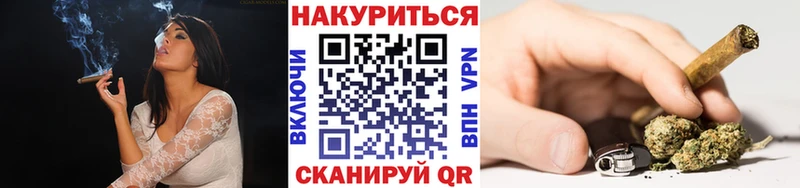 Где можно купить наркотики Навашино СК  Меф  Псилоцибиновые грибы  COCAIN 