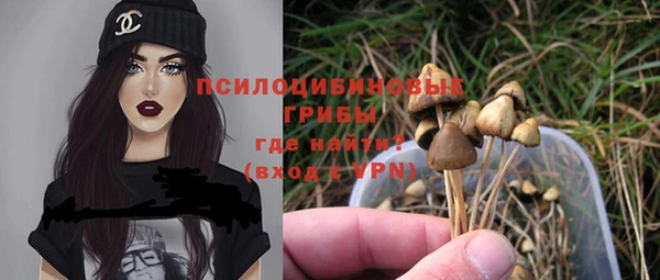 трава Балахна