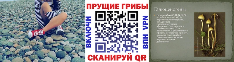 ОМГ ОМГ как зайти Навашино Псилоцибиновые грибы Magic Shrooms